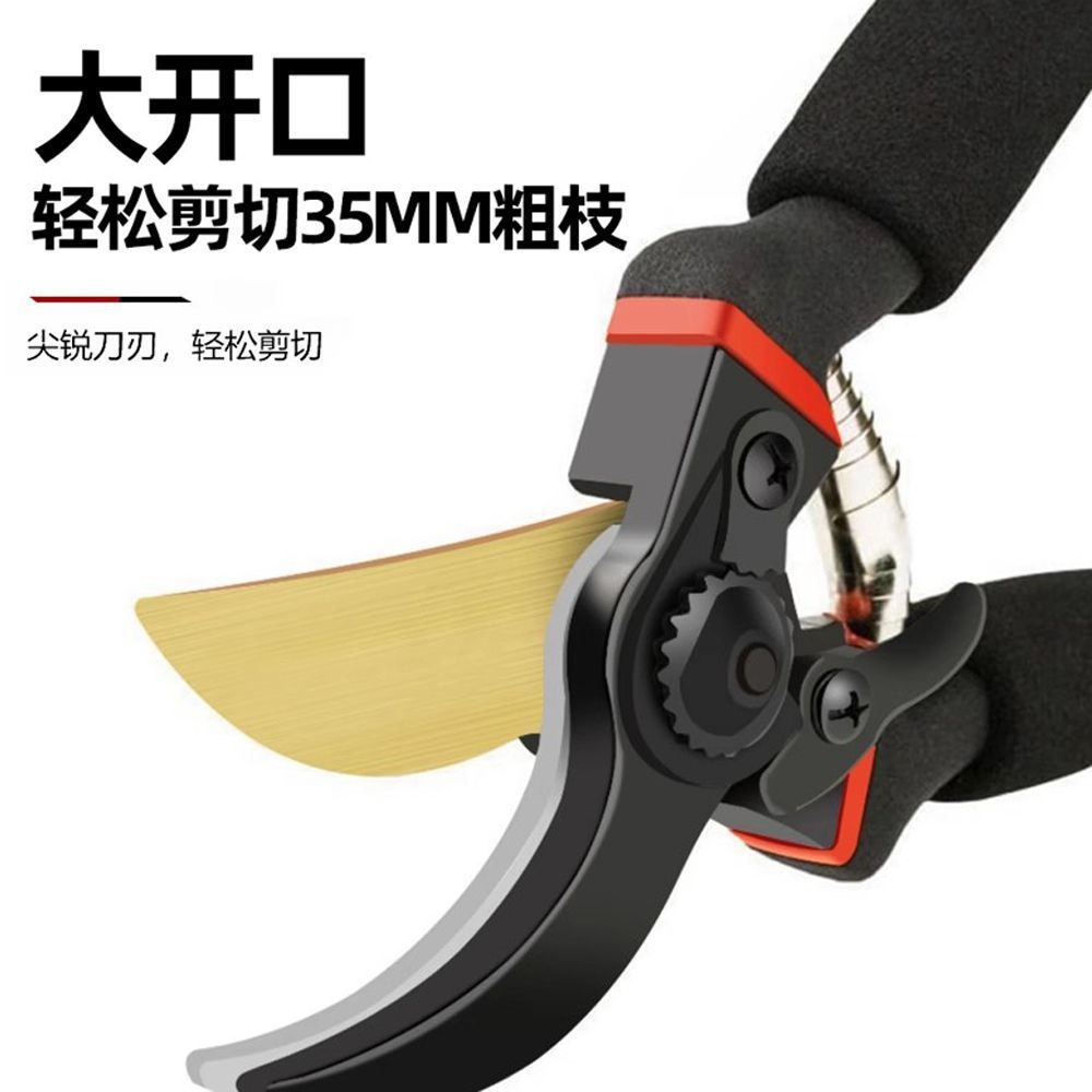 Pruning shears, gardening shears, specialized shears for pruning tree branches, garden pruning, new pruning shears for fruit trees, pruning floral arrangements, pruning shears