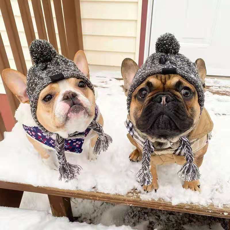 Pet Cat Hat Fad Pug Big Dog Cat Dog Pet предоставляет осень и зимняя собака шерсть Amazon Teddy