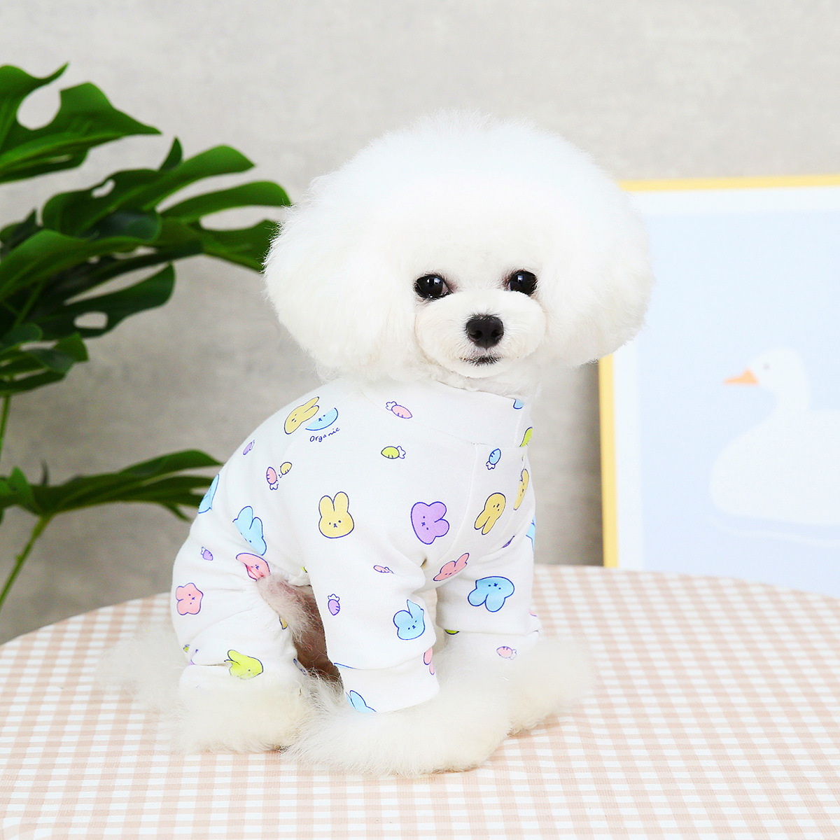 2022 г. Педанная собака плюшевая одежда Pet Pet Four -Leg Clothing Cotton Spring и летняя Новая 22 Хлопковая домашняя одежда