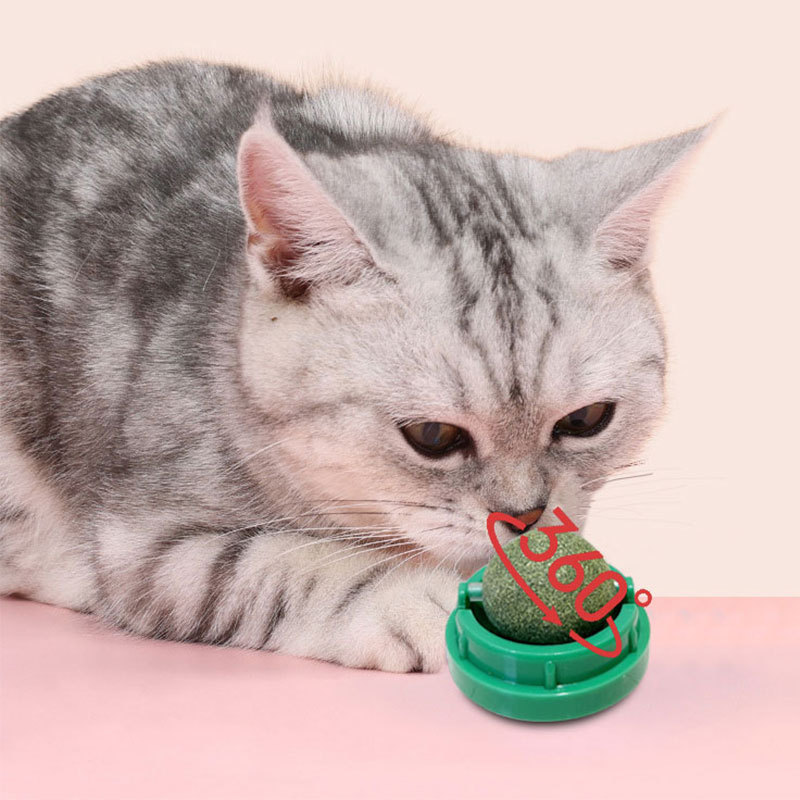 Мятная игрушка, крутящийся прорезыватель, кот, домашний питомец, оптовые продажи