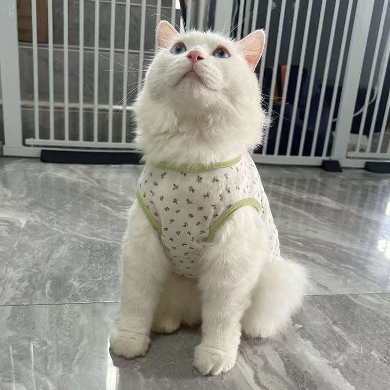 Hello kitty, осенний жилет, тонкий шнурок-держатель, летняя одежда
