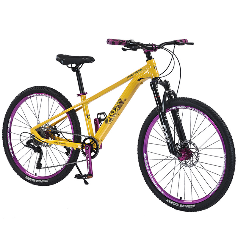 Slope bikes, male and female adult variable speed mountain bikes, aluminum alloy ultra light shock-absorbing bikes, teenage student bikes