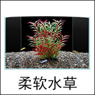 柔软水草