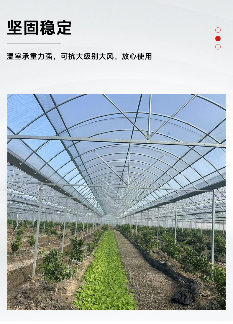 Integrated greenhouse for direct supply of vegetables, fruits and vegetables, integrated greenhouse for foreign trade, connected greenhouse for thermal insulation, greenhouse for sunshade film