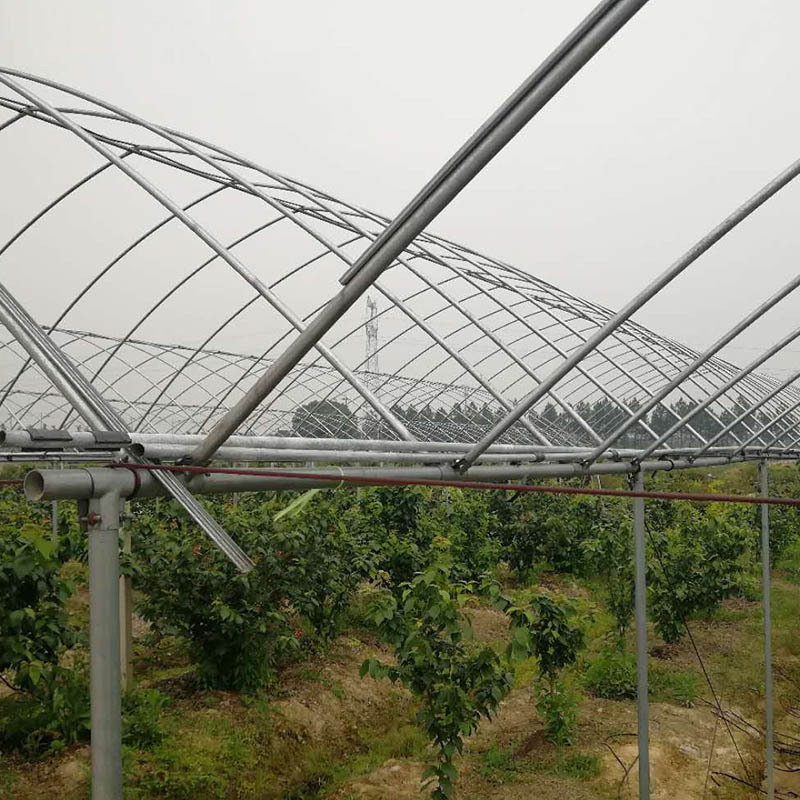 Farm greenhouse, flower garden, various specifications of materials, intelligent breeding greenhouse, steel pipe skeleton design and installation