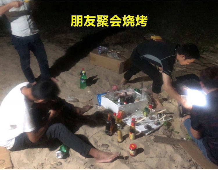 led户外灯泡露营摆摊灯usb充电款球泡灯足功率充电灯泡户外露营野