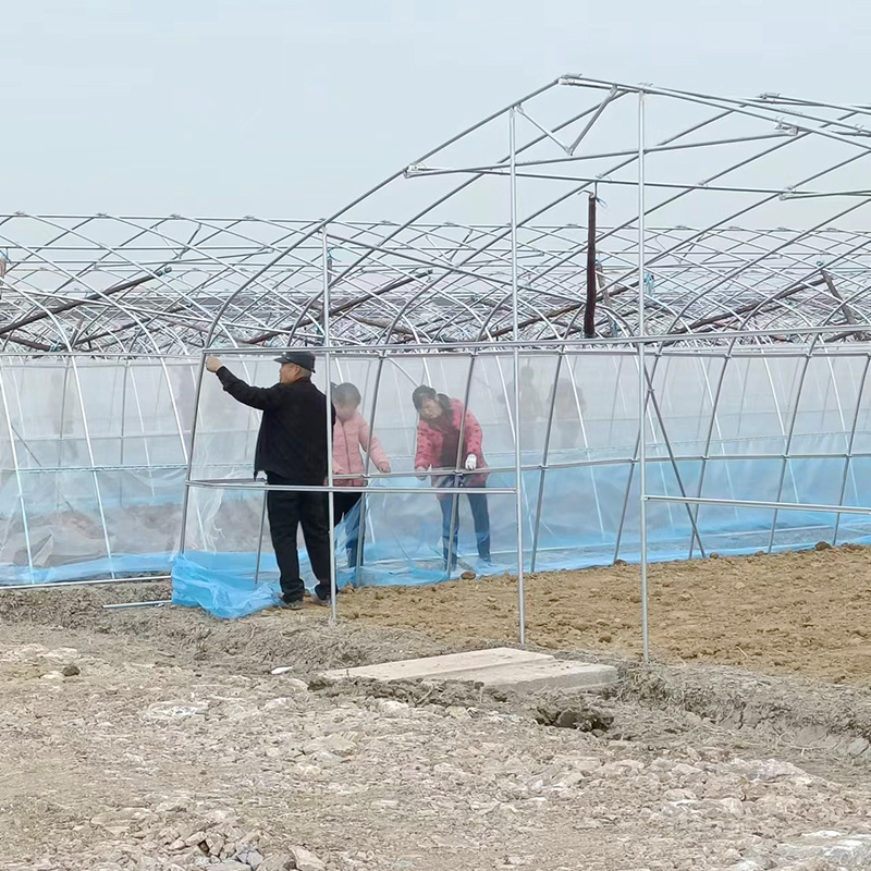 Single temperature chamber greenhouse skeleton installation, simple household flower and vegetable cultivation greenhouse, vegetable planting single greenhouse