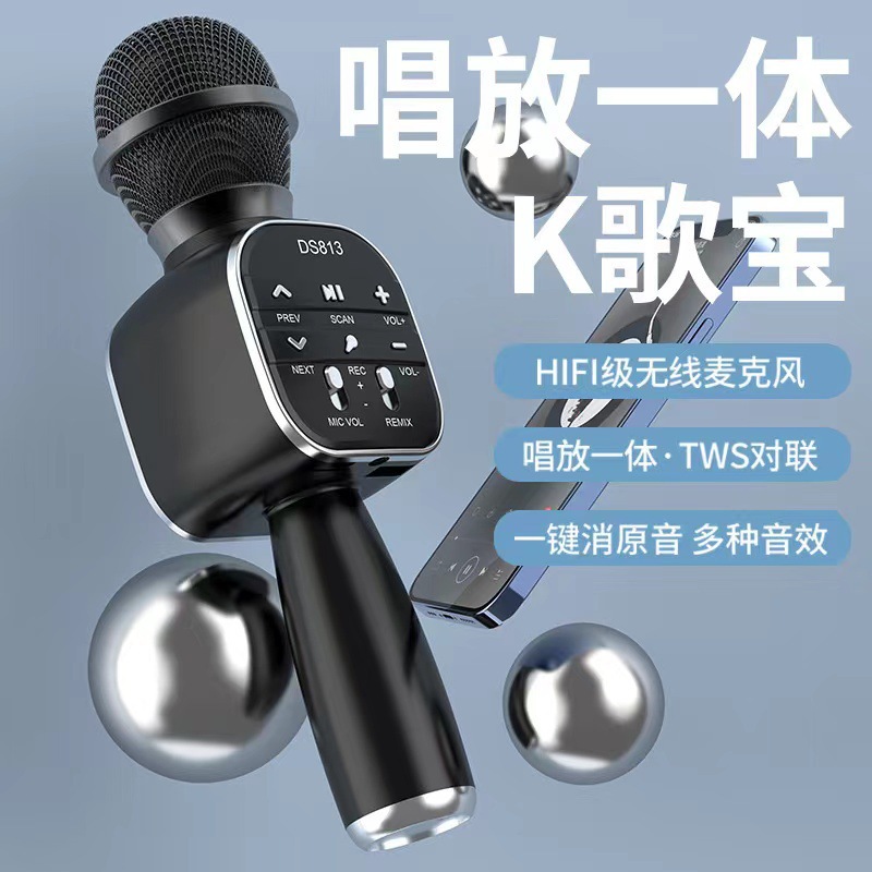 Беспроводной караоке-микрофон WSDER DS813 Bluetooth