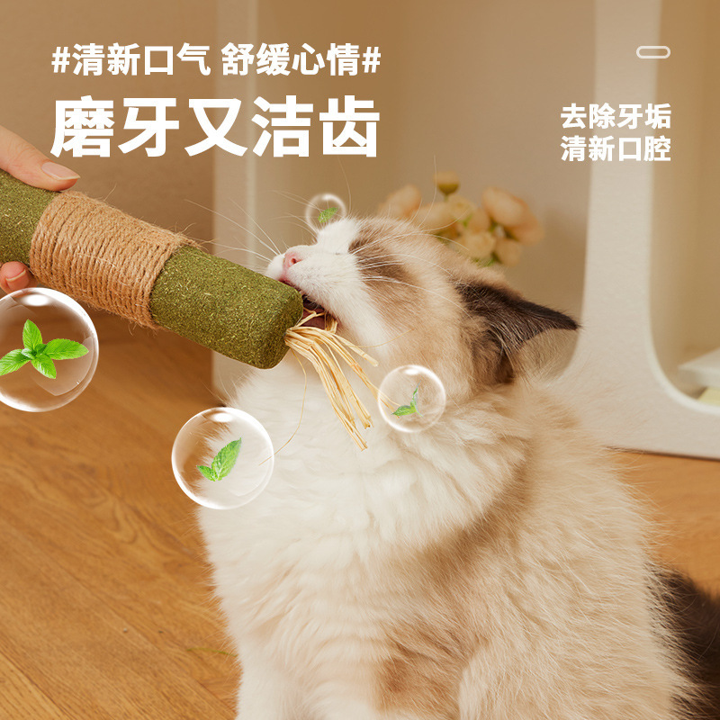 Большой мятный прорезыватель, игрушка, избавление от скуки, котенок, кот