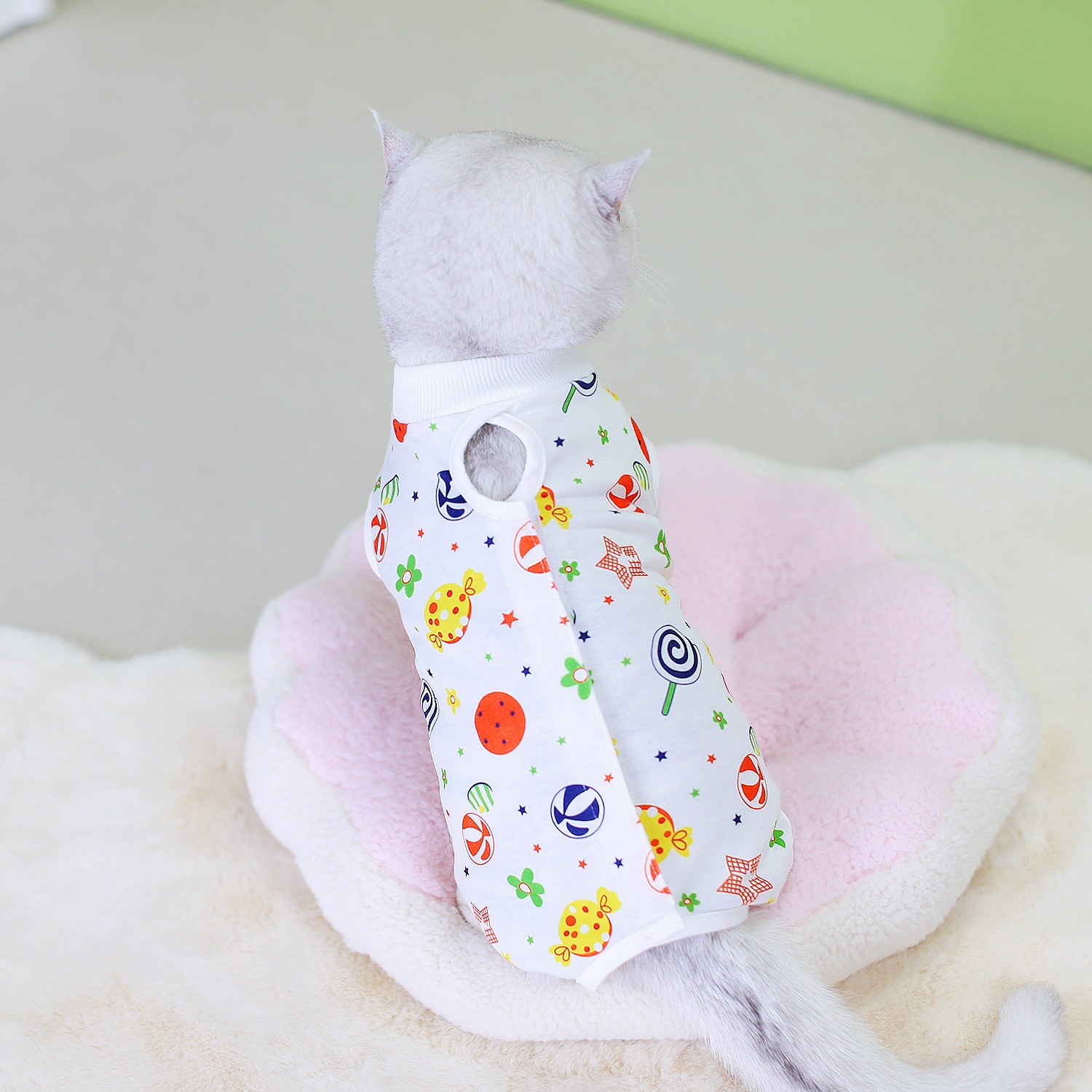 2024 Cat Coolmark Hurergy Surgery самка кошка Broken Catal Pet Pats Supplies после Catal Cat
