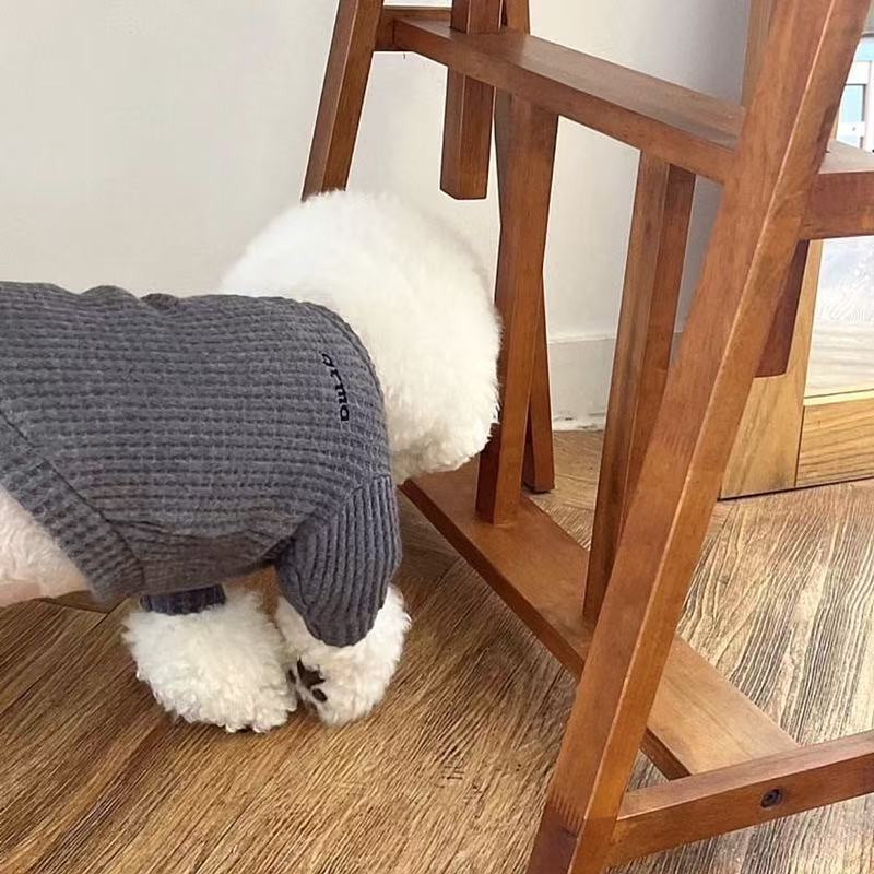 Лучший Pet Fall Walv geg ниже Teddy Biebel Beauty Binnari Cat Cat Puppy