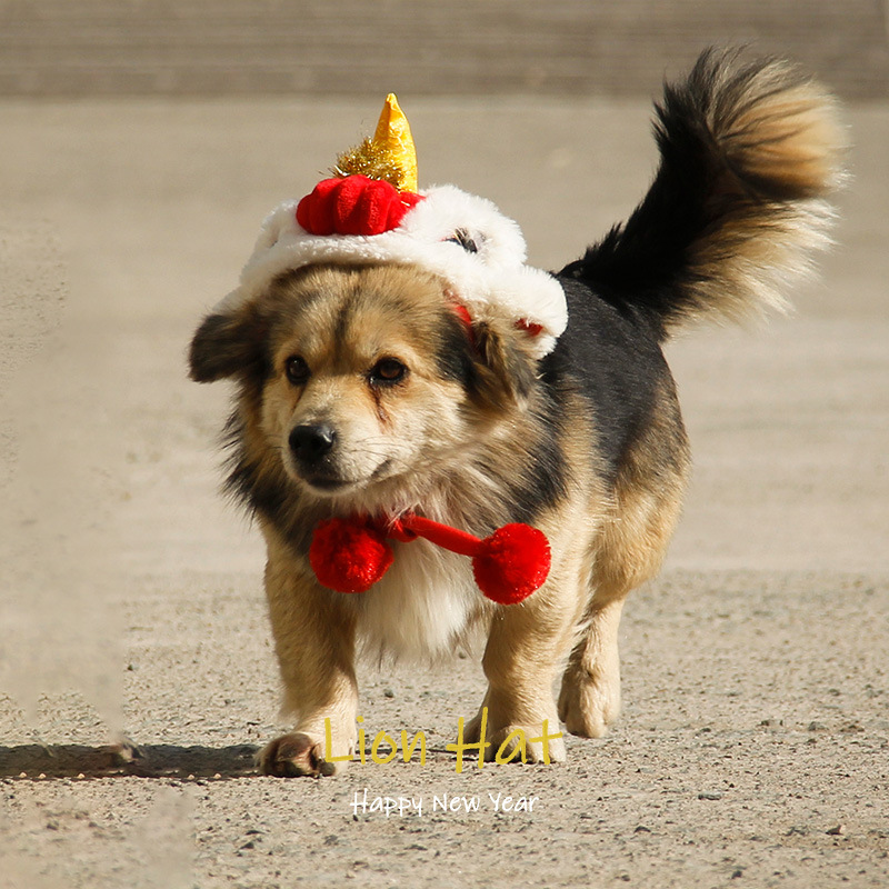 Новогодний лев шляпа Mizuzai Pet Produce Новый год