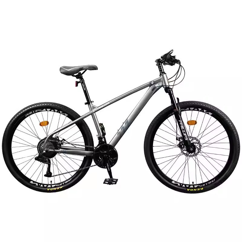 Philip Bike Mountain Bike Teen Adult Variable Speed Bike Off Road Racing