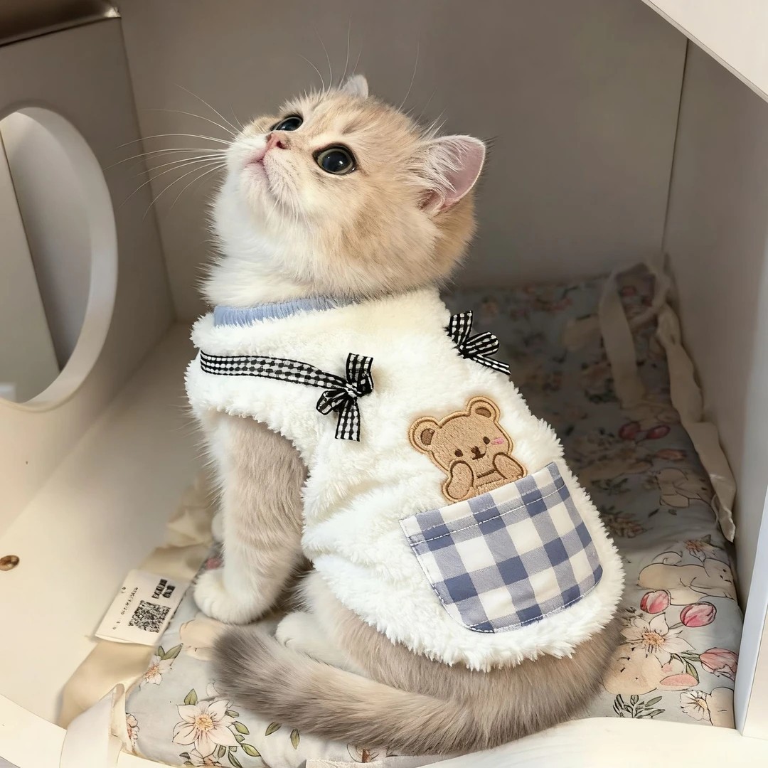 Одежда для кошек на осень и зиму, нелиняющее теплое флисовое короткое британское короткое рэгдолл-кошачье пальто с золотым градиентом для домашних животных, утолщенное двуногое хлопковое пальто