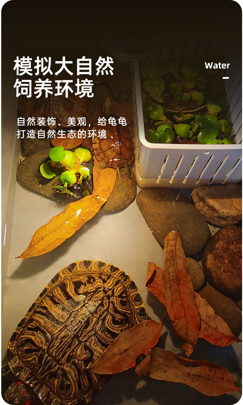详情_07.jpg