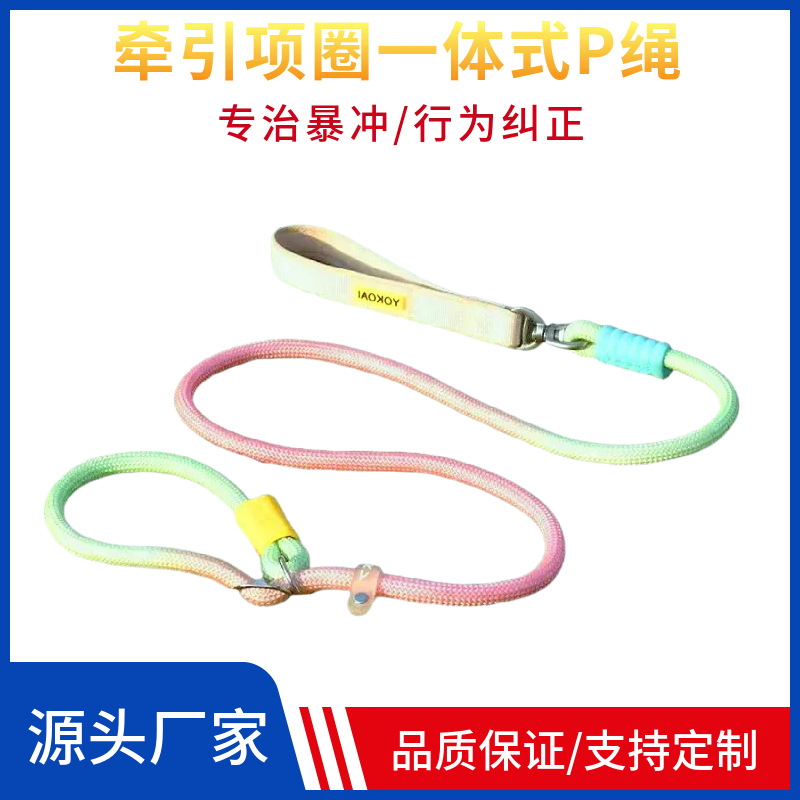 Новая горячая распродажа собака, защищенная от P-Rope, анти-бьет