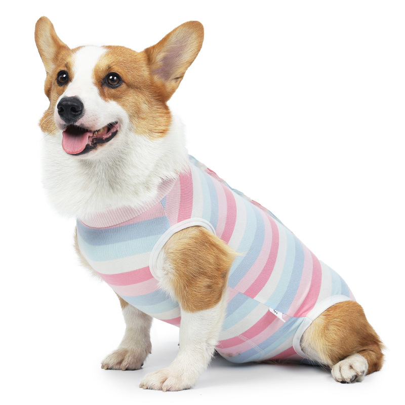 Костюм для стерилизации собак, грудной, носимый, костюм для отлучения, эластичная одежда для щенков, товары для домашних животных, готовые, защита животика, защита от притеснений