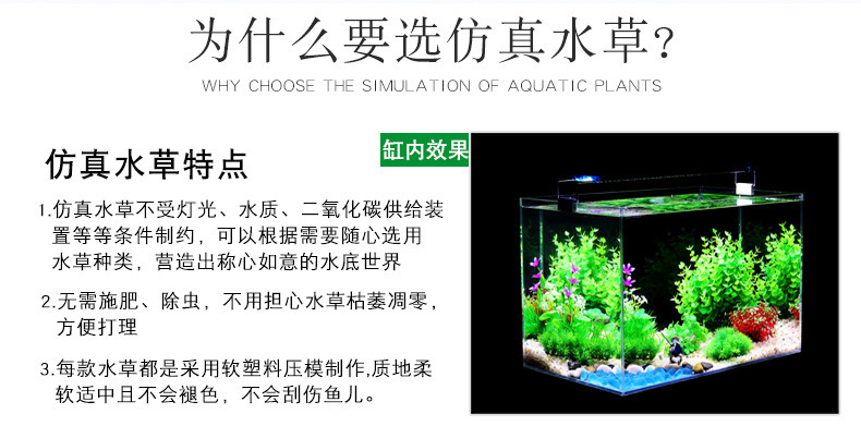 为啥选择仿真水草