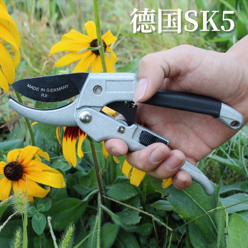 German tool steel SK5 steel rust proof coarse branch pruning pulley effortless pruning pruning pruning fruit tree horticulture pruning garden maintenance