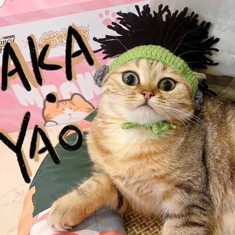 Кошка забавная шляпа без шляпы сафы Safax Cover Dog German Punk Thunder Ghost Rock