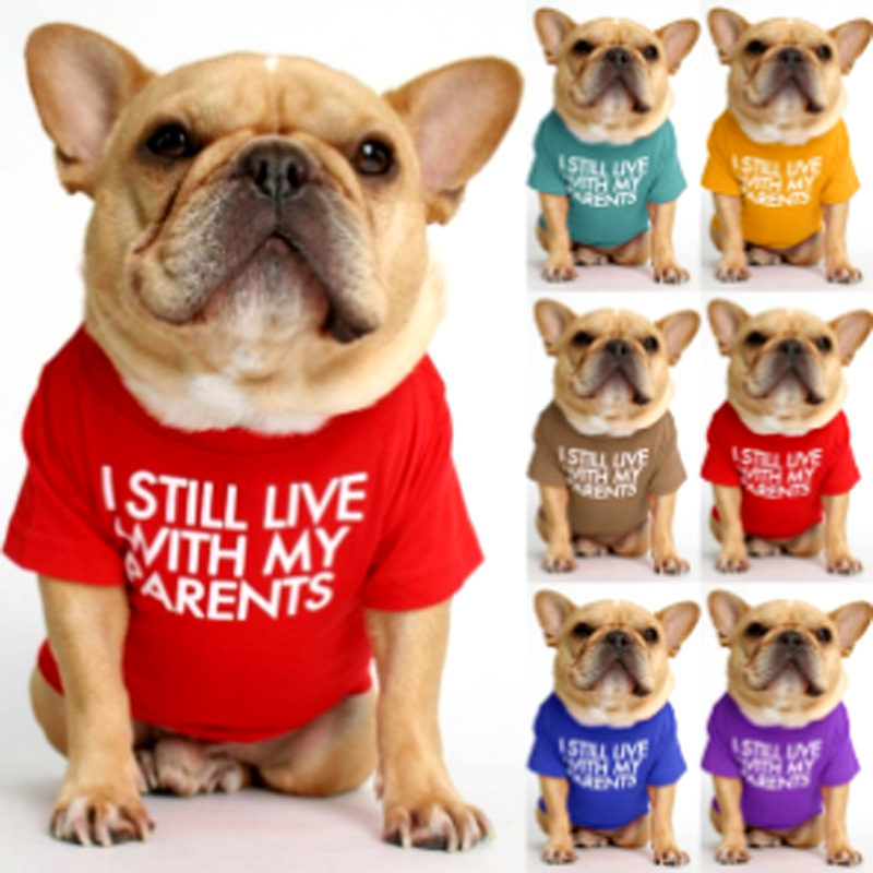Fasun Douya Bargo Salith Bulling Dog Pets T -Frish T -Frish Teddy Panda Dog Clothing