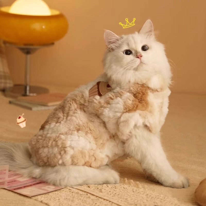 Кошачья одежда в зимней теплой котенок котенка на английском языке на английском