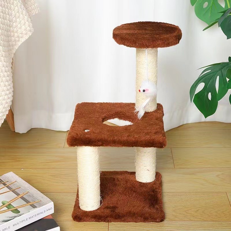 Кошачье скалолаза