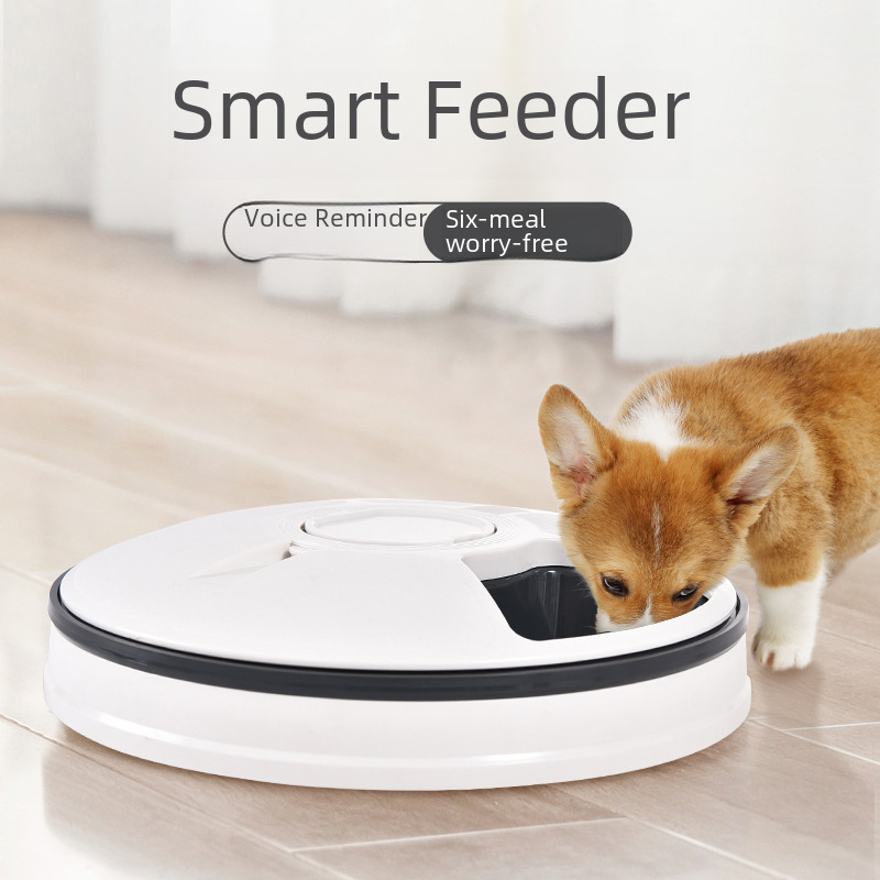 Six Gaduge большая -мощность Timmers Pet Intelligent Automatic Timing Fedback Music напоминание нет логотипа