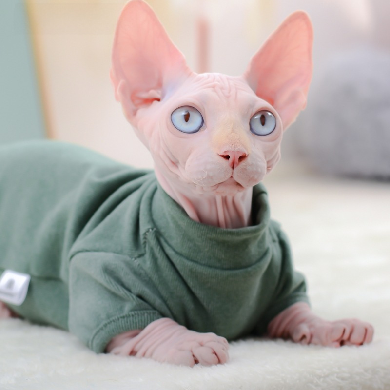 Moorspet Sphinx Devin Wathless Cat Одежда осень и разработчик зимнего стиля база с четвероногим теплым домашним животным кошка