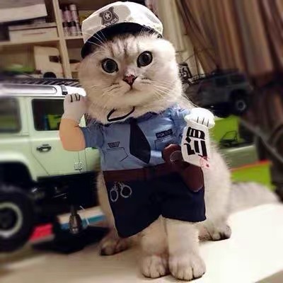 Pet Dog Cat Смешная интернет -знаменитость превратилась в полицейскую медсестру -медсестру, доктор смешная тема, вертикальная одежда
