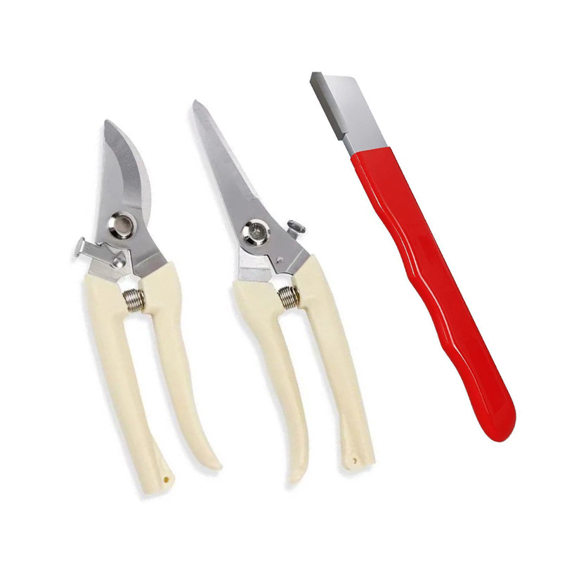 Strong stainless steel pruning shears for rough branches, orchard fruit picking, specialized flower pruning and fruit thinning, multifunctional garden tree branches shears