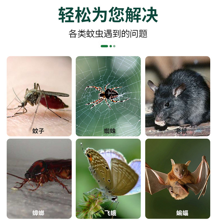 详情_05