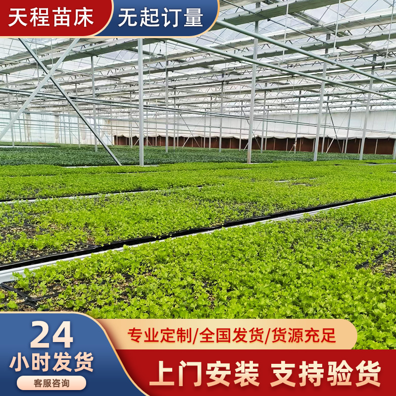 Manufacturer greenhouse seedling bed flower greenhouse planting soilless cultivation fixed hot-dip galvanized seedling bed accessories