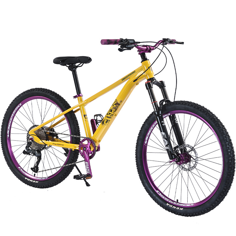 Slope bikes, male and female adult variable speed mountain bikes, aluminum alloy ultra light shock-absorbing bikes, teenage student bikes