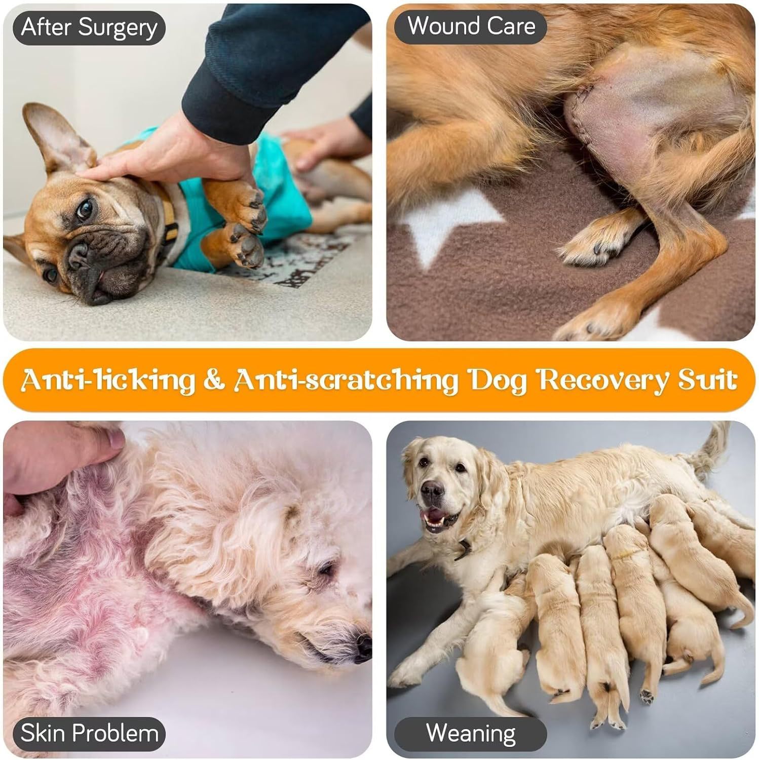 Cross -Bordder Dog Recovery Set anti -Lick Hurerge Jacket для домашних животных, отлучения от груди, кожи и других проблем после домашних животных
