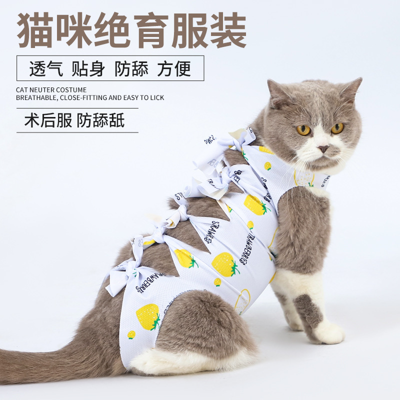Кошачья стерилизационная одежда для женских кошек отлучение от груди для хирургии для домашних животных, антизивную одежду для кошек мужских кошек, ремни для хирургических платье