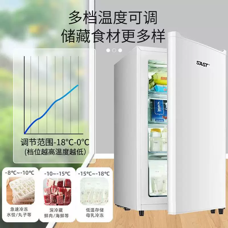 SAST/先科 BD-120 вертикальный холодный шкаф