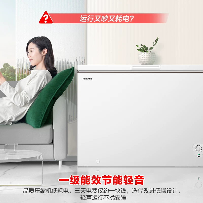 Rongsheng 300 -Liter Home использует морозильную коммерческую коммерческую большую мощность. Одиночный холодный шкаф Полный холодильник с холодильником -морозом