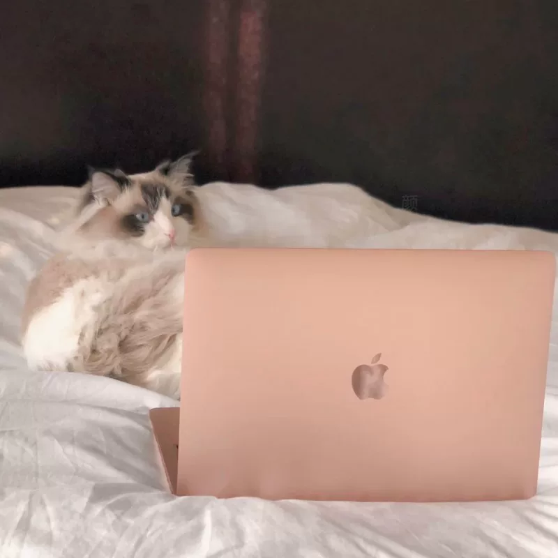 Apple, ноутбук, коллекция 2022, macbook, 13.3 дюймов, делается под заказ
