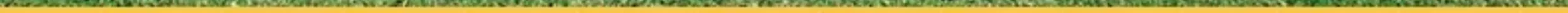 Tent, Outdoor Camping, Overnight Folding, Portable, No Installation, Fully Automatic, Outdoor Camping Equipment, Full Set, Thickened