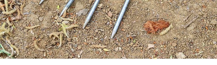 Handheld two toothed shovel for loosening soil, gardening artifact for planting vegetables, flowers, fertilizing, weeding tools, soil breaking artifact