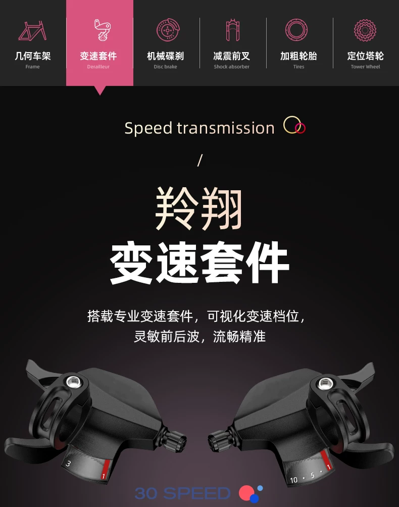 Mountaineering Bike Adult Female Variable Speed Youth Highway Campus Shock Absorber Bike 24 inch Male Junior High School Student