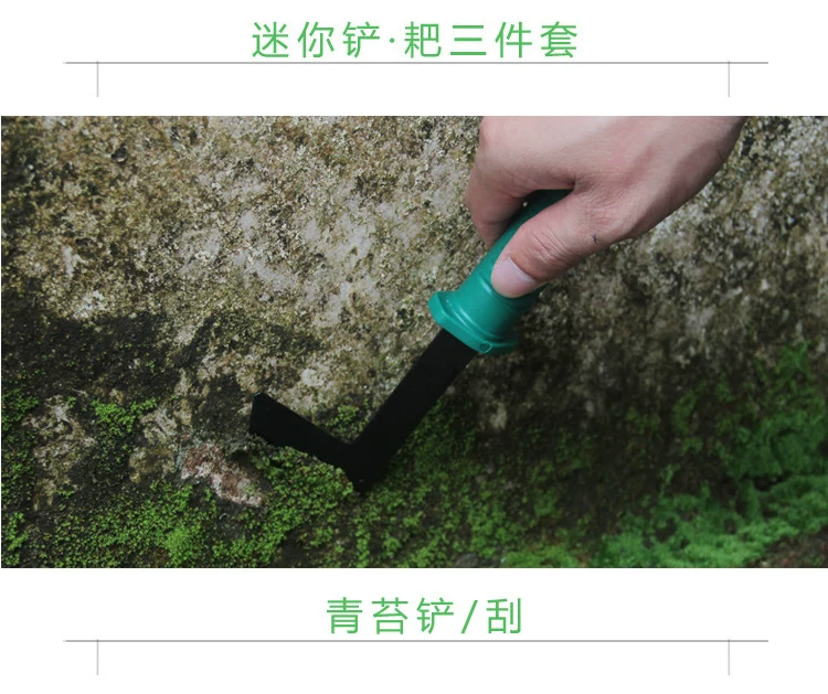 Home gardening flower planting tool set stainless steel flower shovel, rake shovel, flower and vegetable cultivation tool, potted plant, soil loosening small shovel