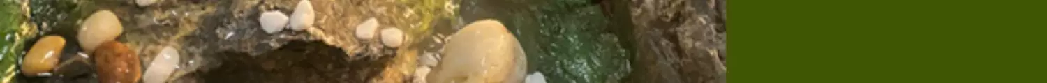 Эксклюзивный чайный стол из массива