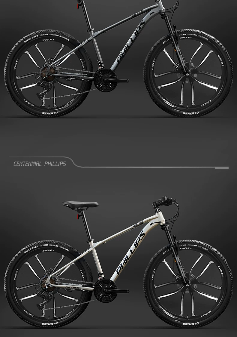 Philip 27 Speed Shock Absorbed Mountain Bike Adult Male Female 26 inch Off road Mountain Bike