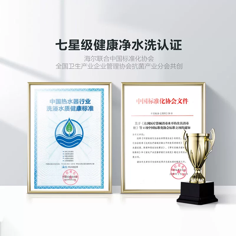 Водонагреватель электрический Haier Leader LES80H-P5 Gold