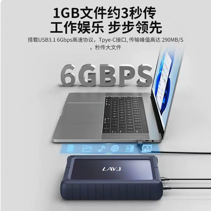 Anti drop LAYJ portable hard drive 18t desktop 20t large capacity typec high-speed 22t computer external storage