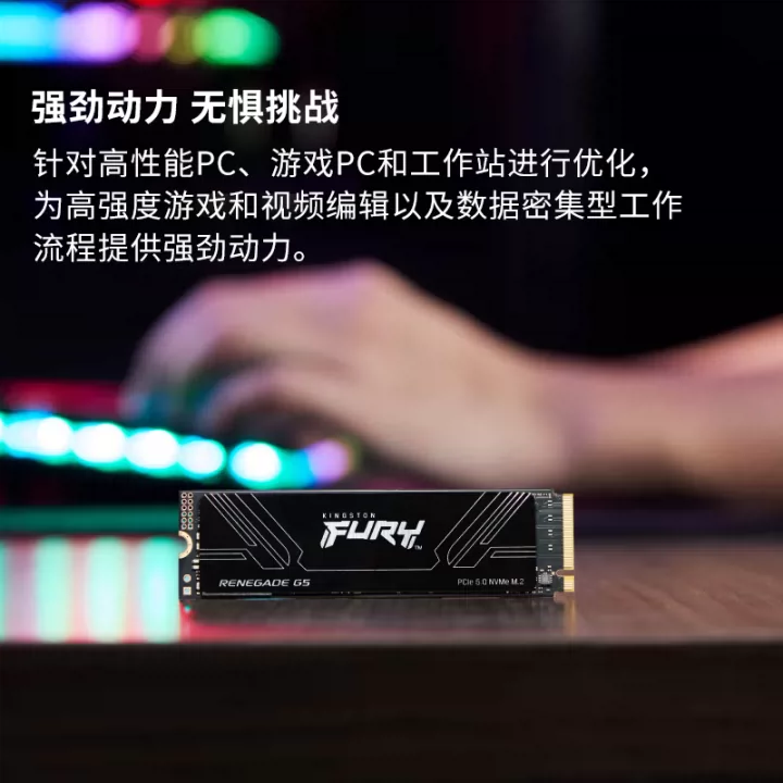 Официальный флагманский магазин Kingston SSD твердотельный накопитель Rebel Интерфейс M.2 (NVMe PCIe 5.0×4)