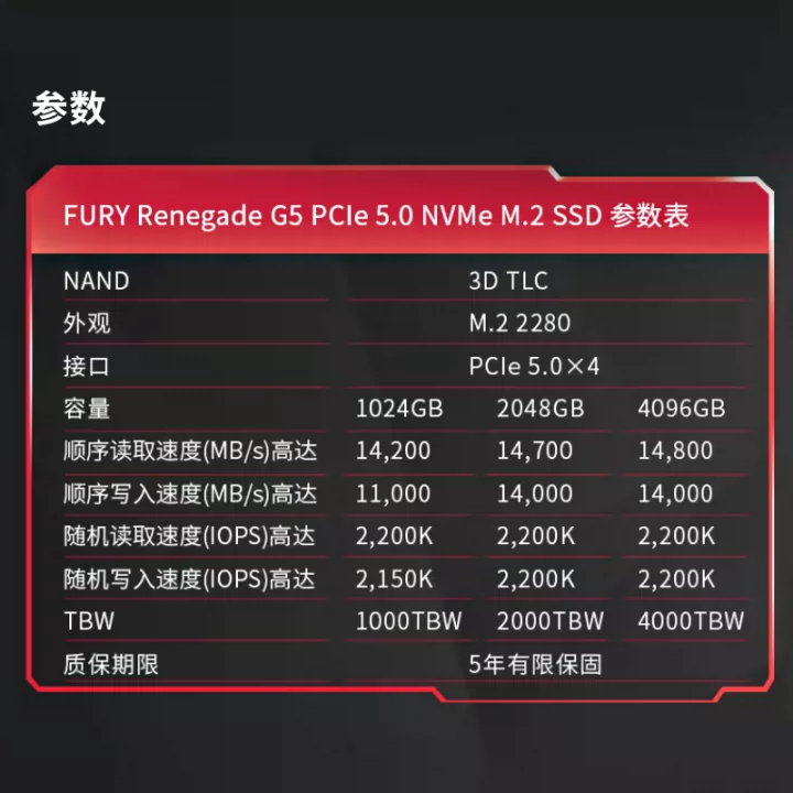 Официальный флагманский магазин Kingston SSD твердотельный накопитель Rebel Интерфейс M.2 (NVMe PCIe 5.0×4)
