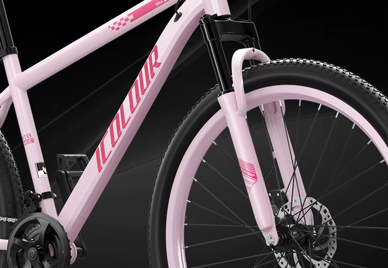 Mountaineering Bike Adult Female Variable Speed Youth Highway Campus Shock Absorber Bike 24 inch Male Junior High School Student